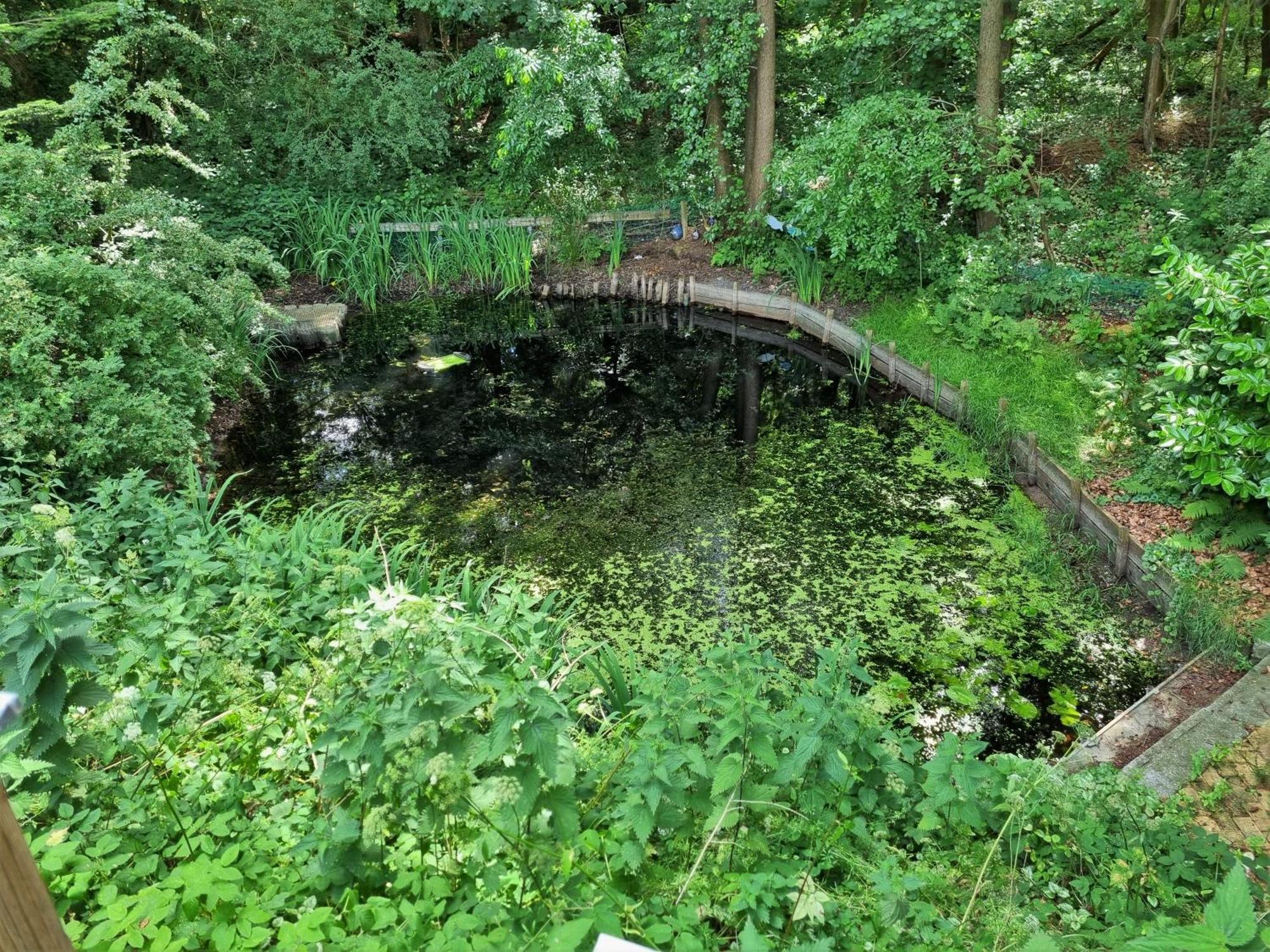 Ferienhaus Paulsen - Gemuetliches Haeuschen Mit Vollstaendig Eingezaeuntem Garten Und Kamin Silberstedt Luaran gambar